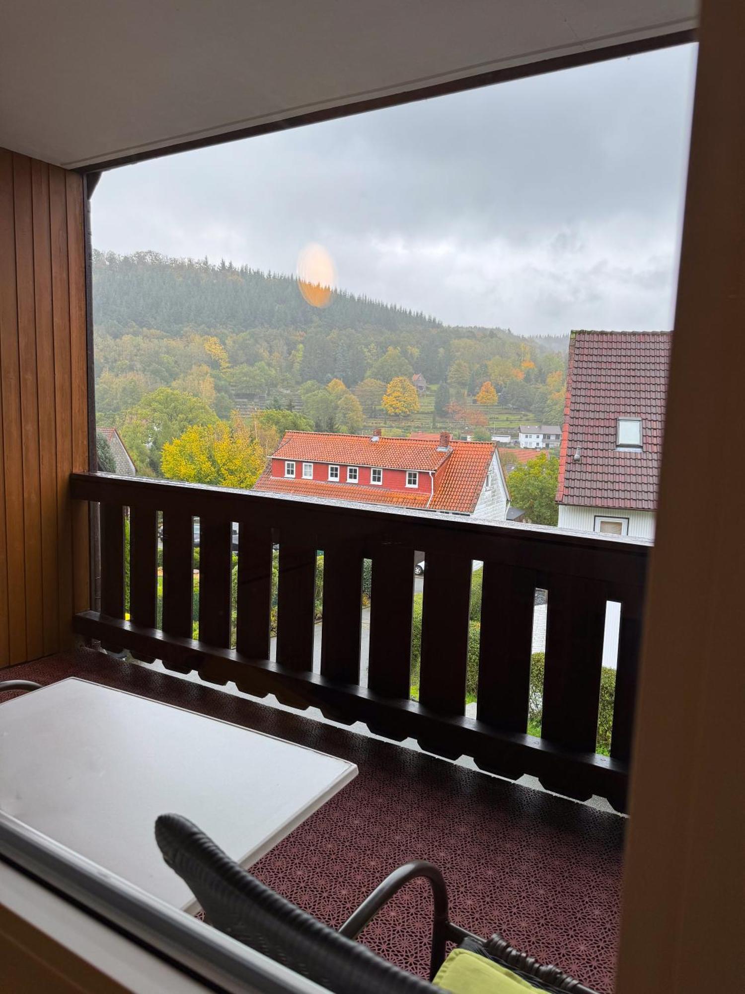 Harzhotel Gruenett Langelsheim Luaran gambar